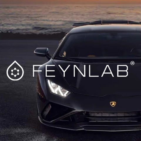 FEYNLAB
